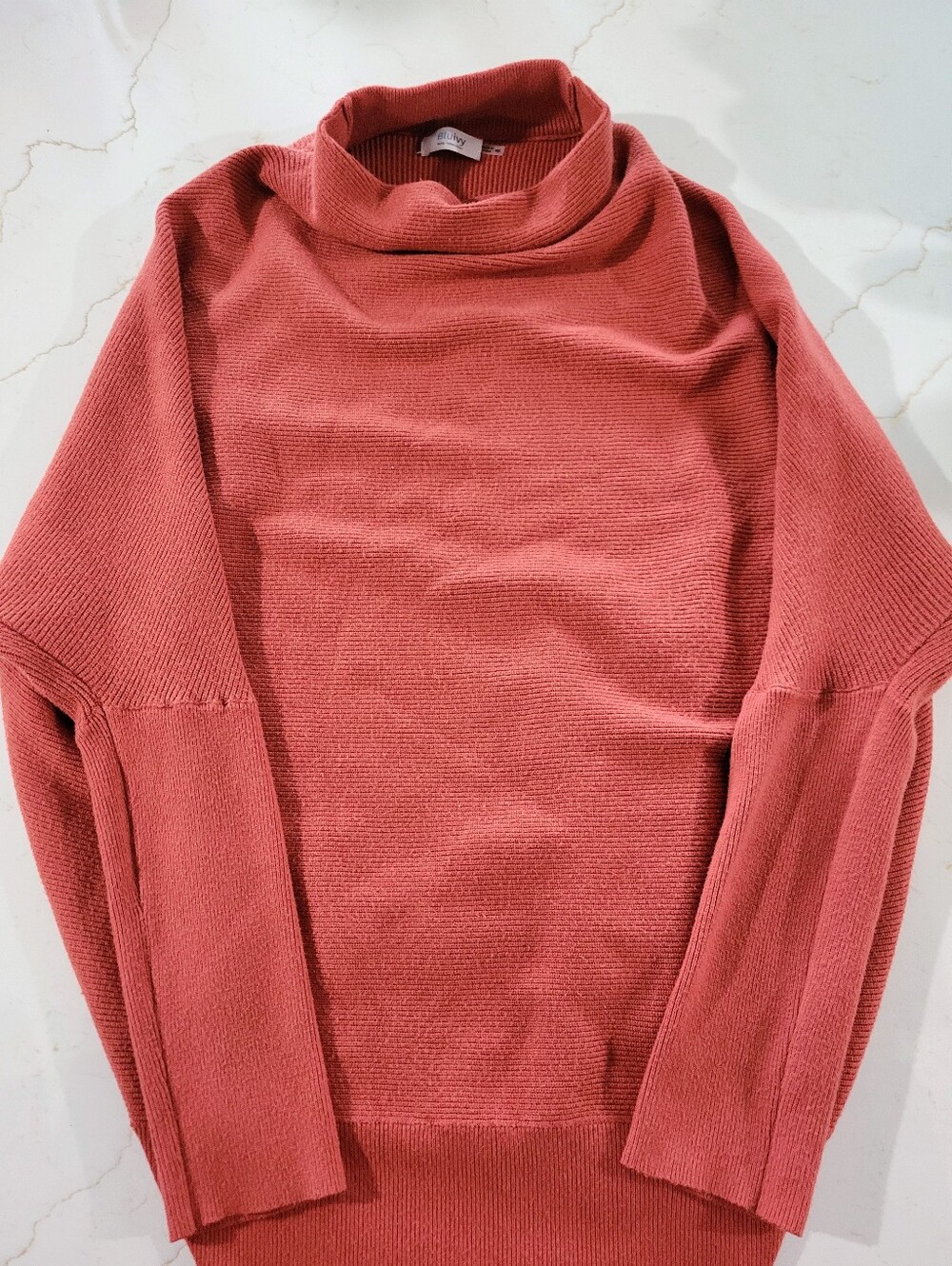 Women's Bluivy Turtleneck Sweater